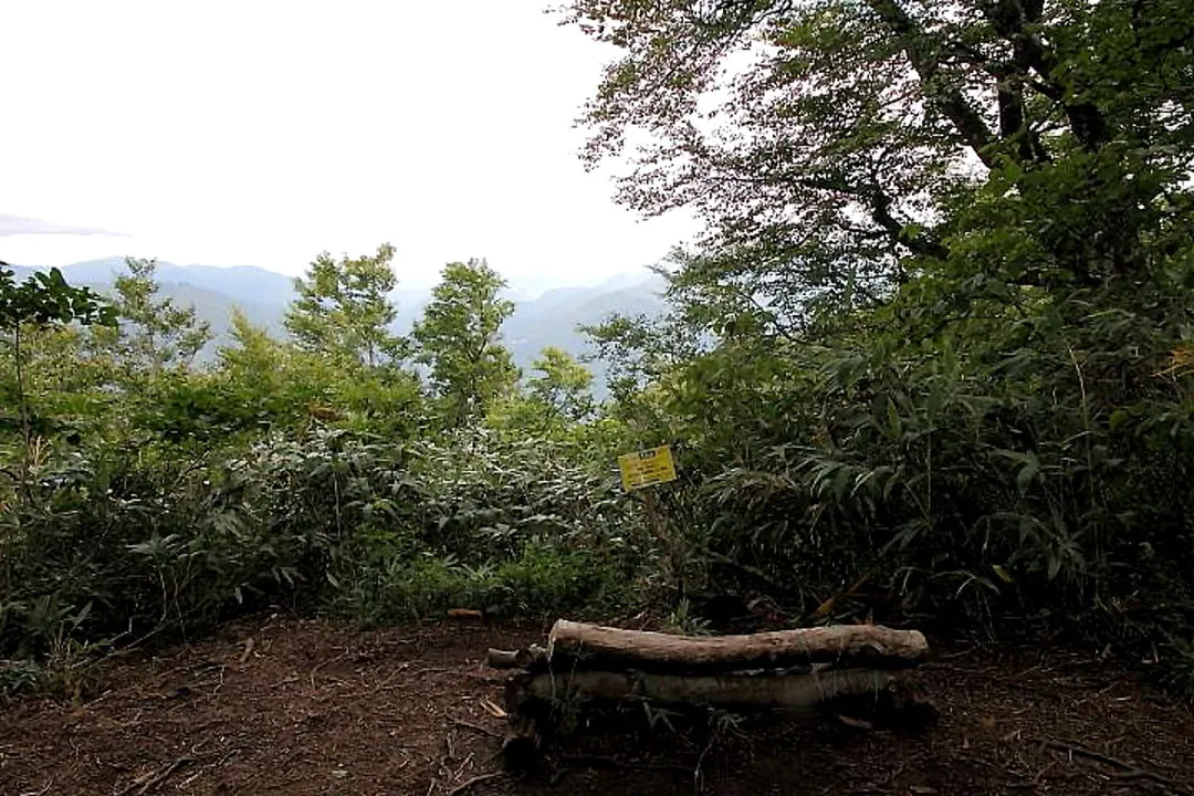 「白山ベンチ」標高約935m