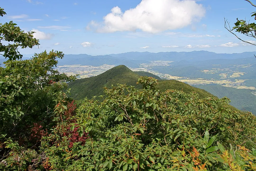 大野盆地