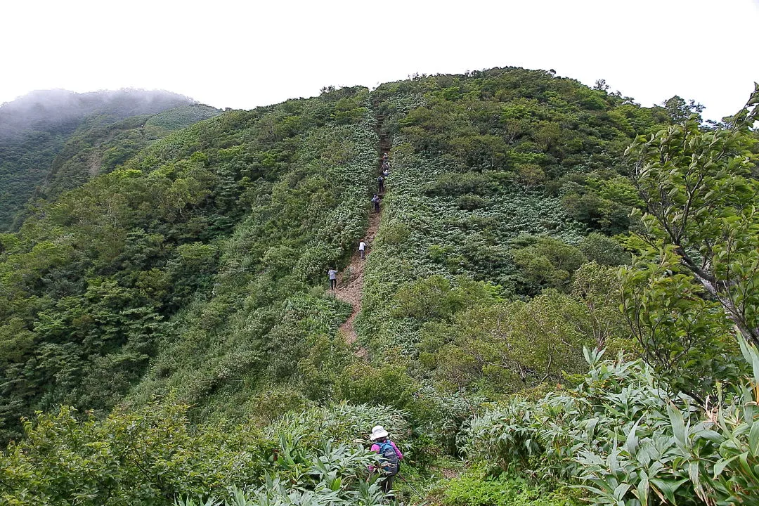 荒島岳を目指す