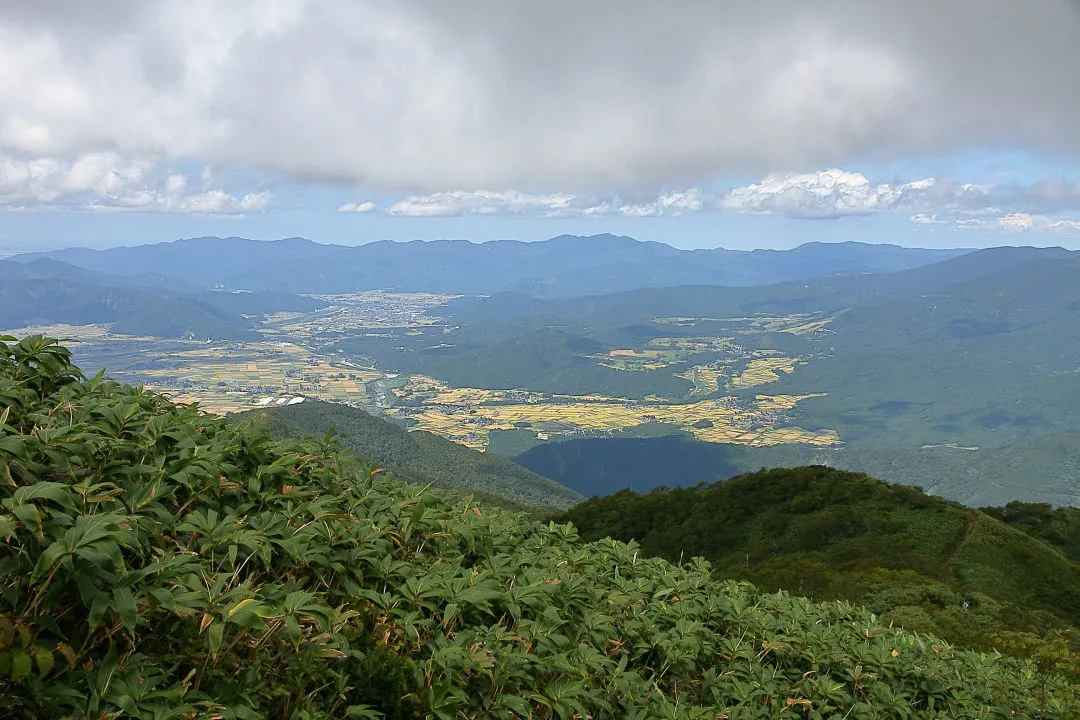 大野盆地