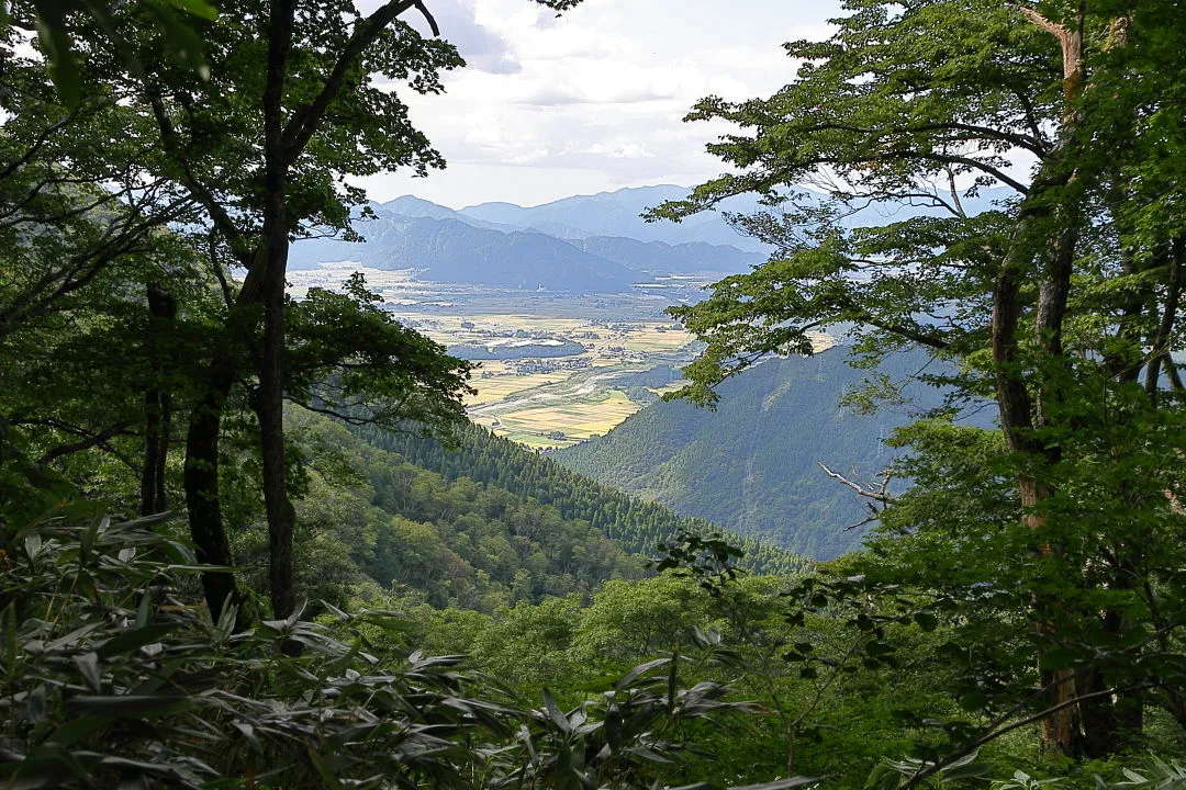 ブナ林からの見晴らし