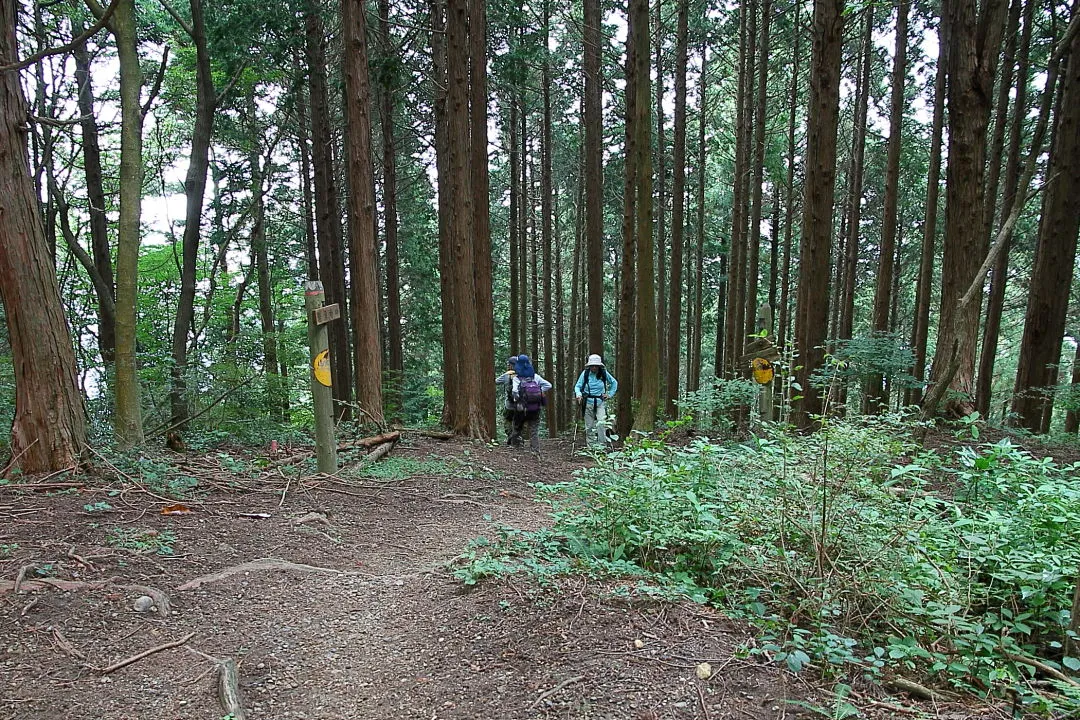 急坂の道を振返る