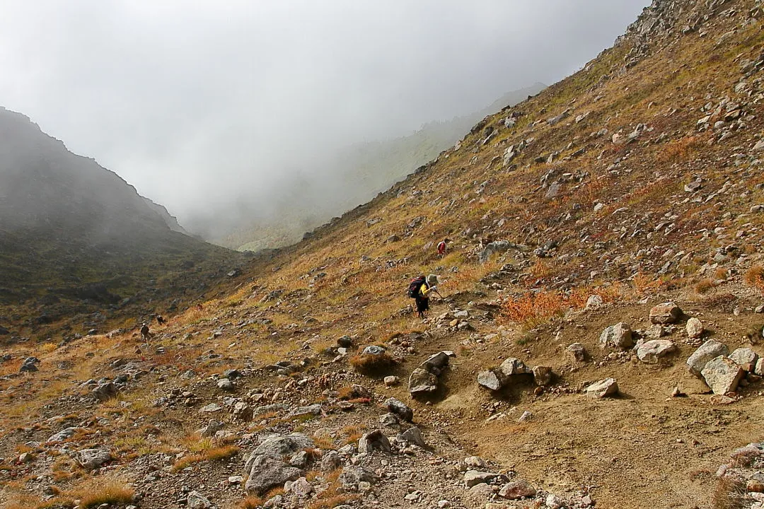 登山道を振返る