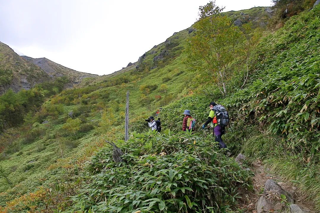 山頂へ向かう登山者