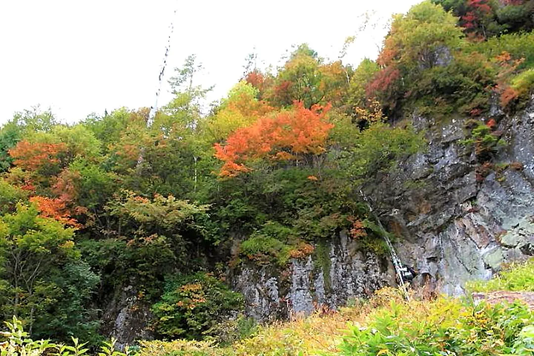 岩場の梯子と紅葉