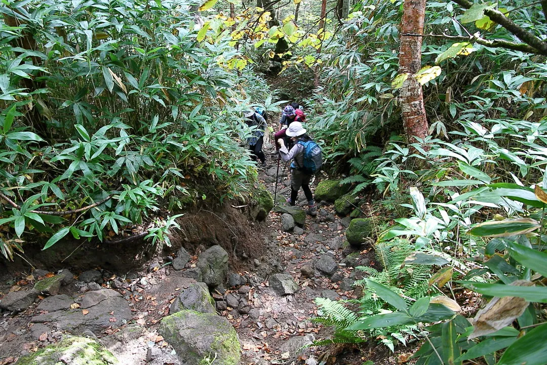 登山道を下る