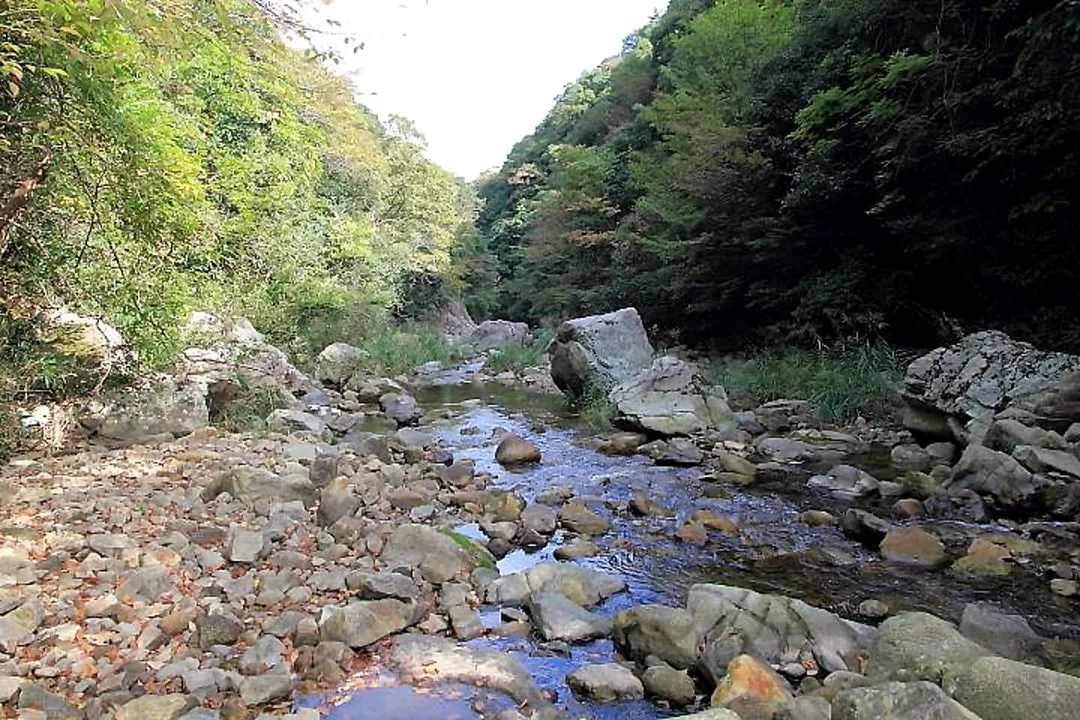 鎌倉峡を振返る