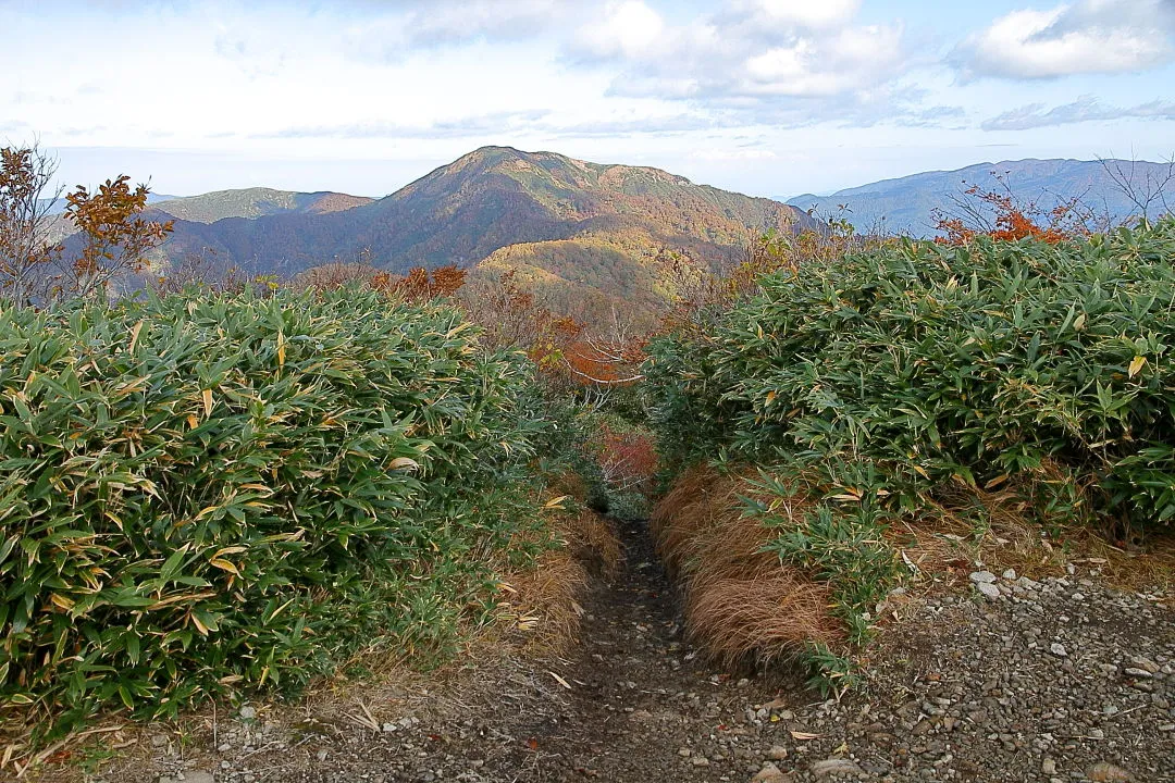 赤兎山山頂から大長山