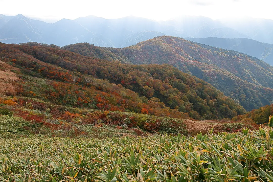 大舟山と紅葉