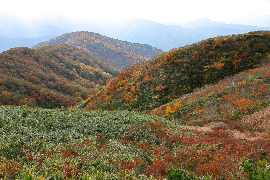 大舟山側の紅葉