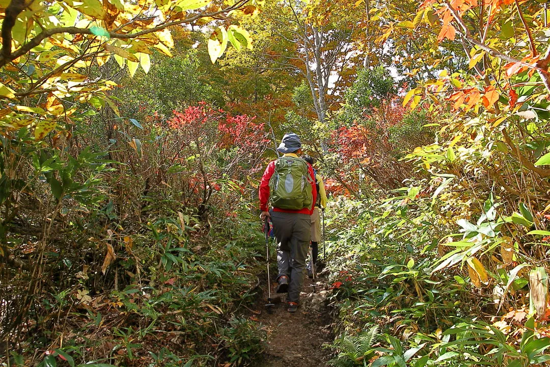 赤兎山へ向う登山者