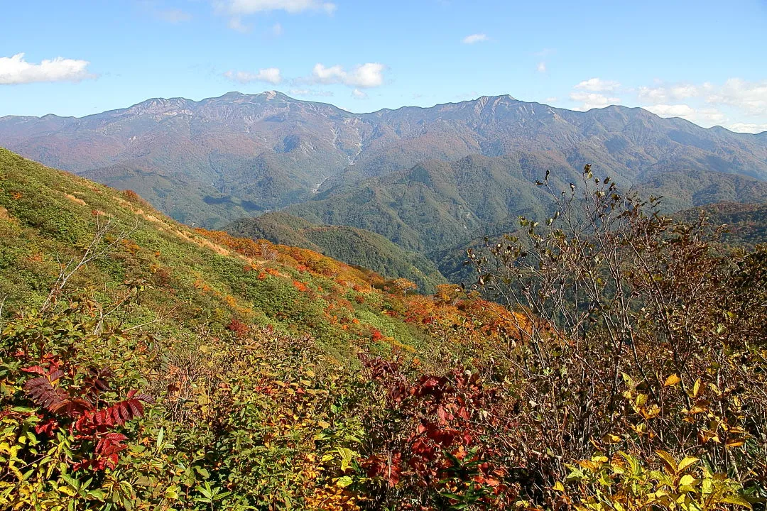 大長山登山道から白山