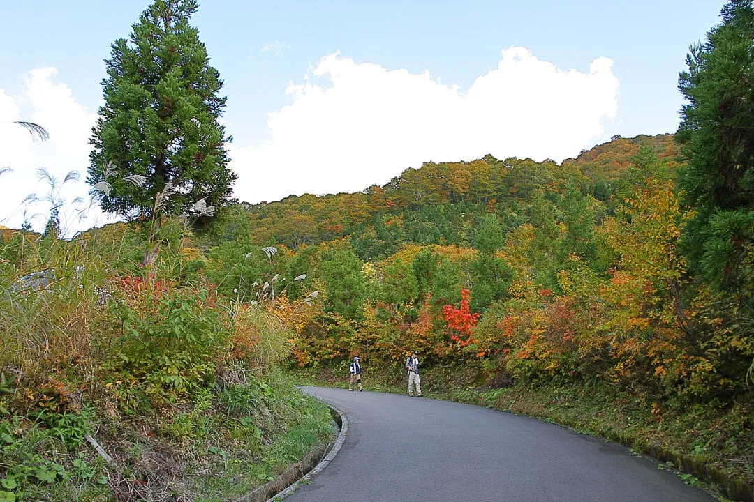 駐車場付近の紅葉