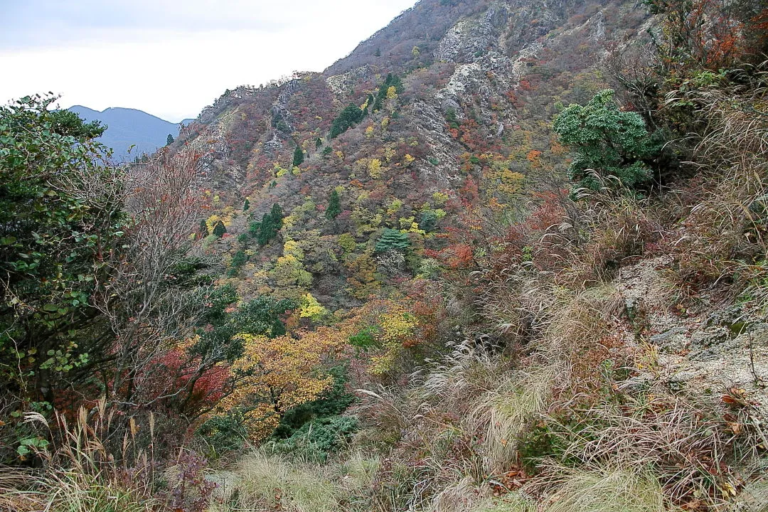 県境尾根道の紅葉