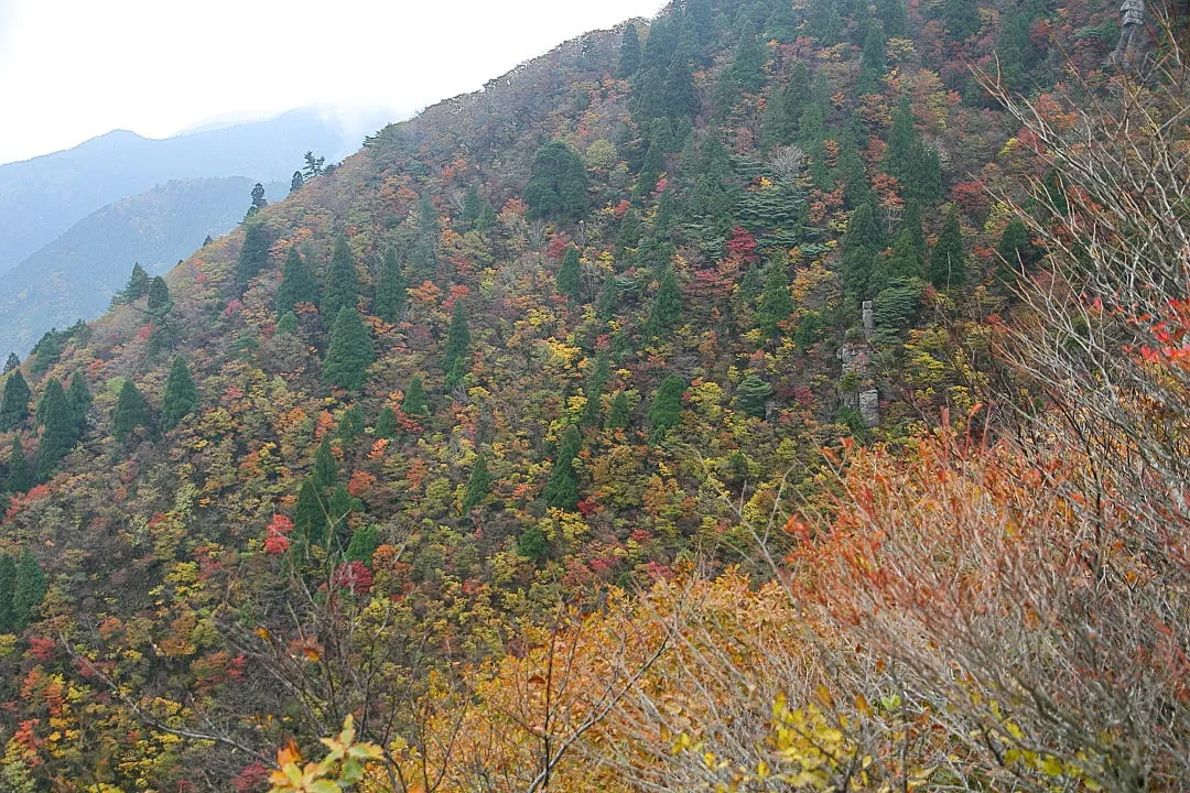 峠谷の紅葉