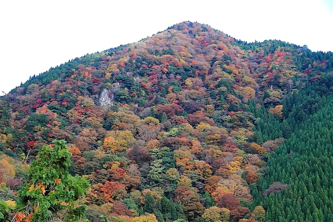展望岩からの紅葉
