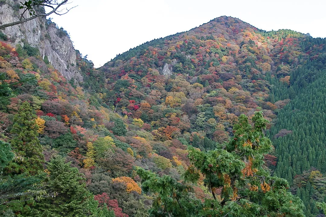 展望岩からの紅葉