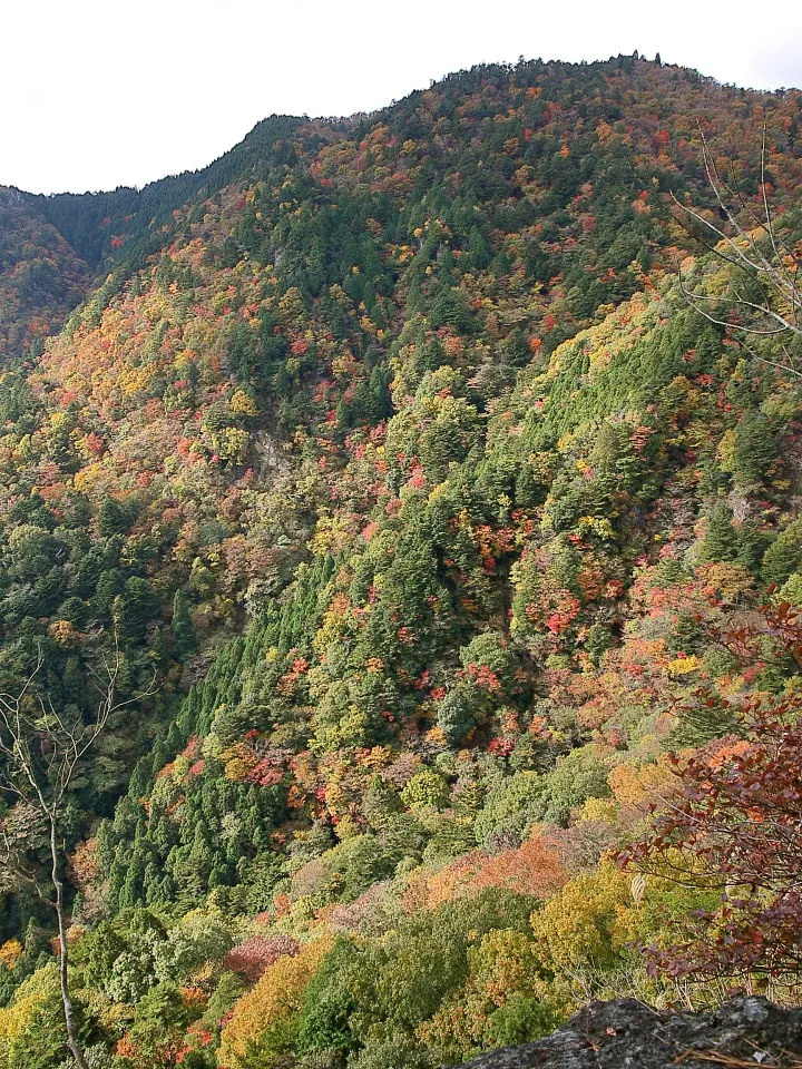 見晴し岩からの紅葉