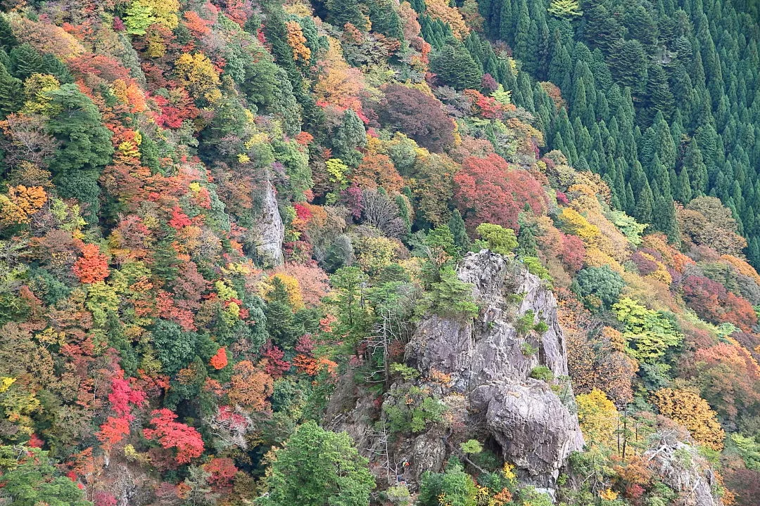 紅葉の中に浮かぶ地蔵岳