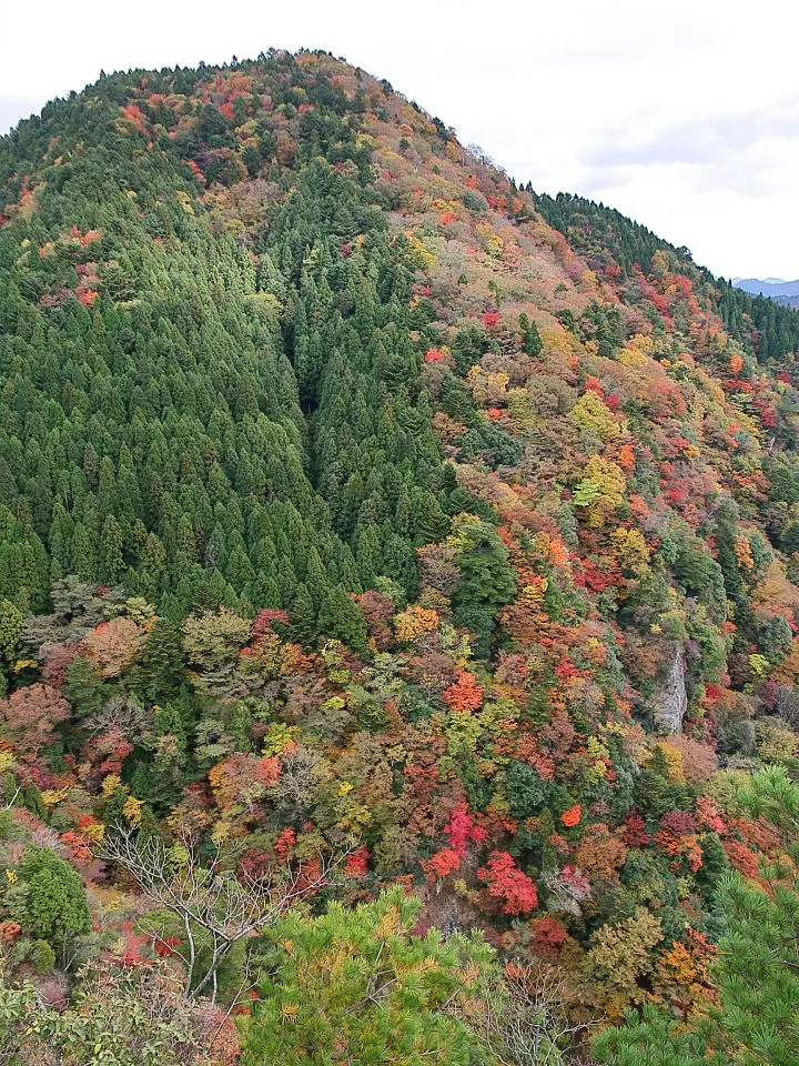 地蔵岳から対面する紅葉