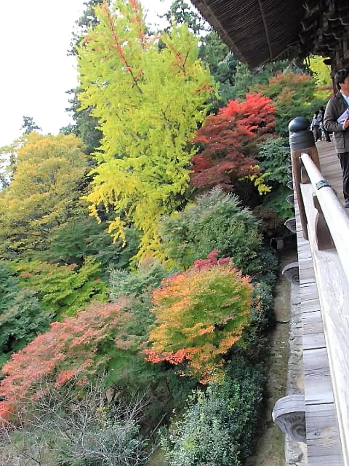 円教寺・摩尼殿と紅葉