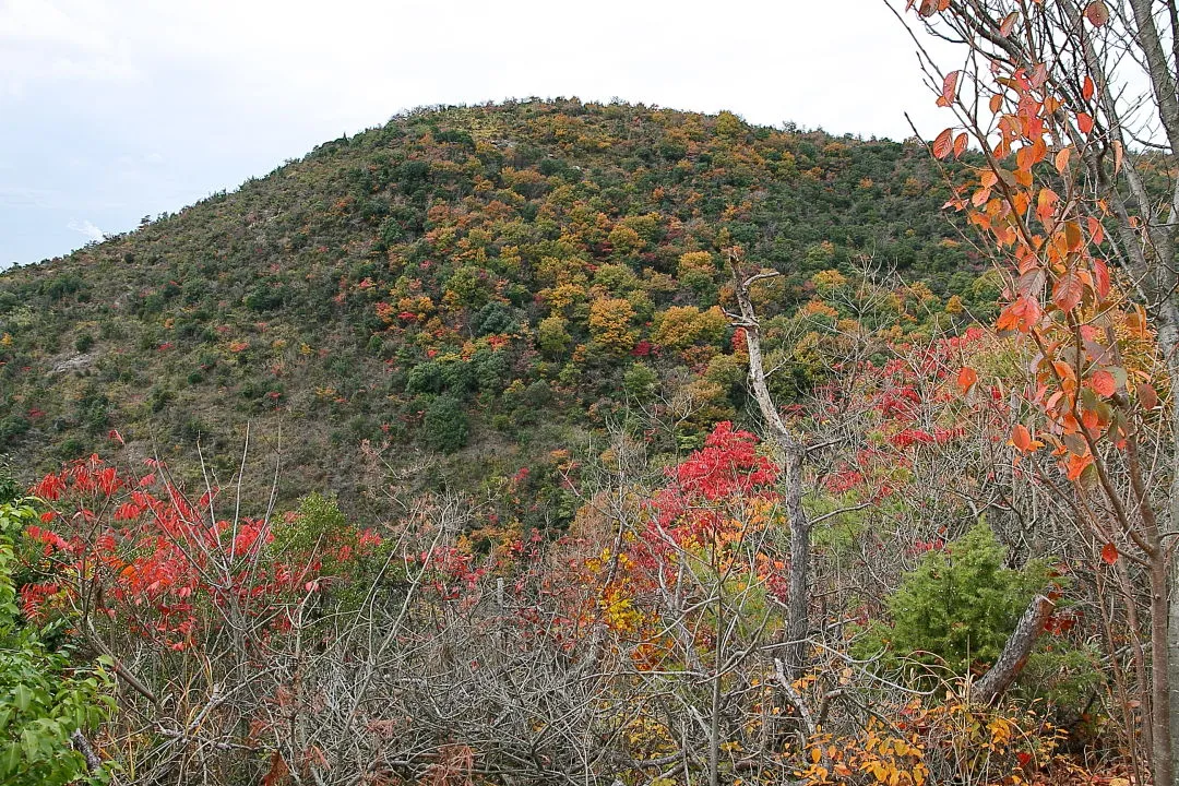 赤山の展望所から一本松山