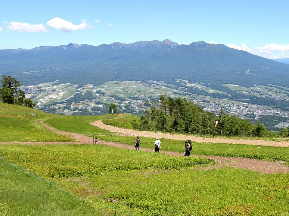 入笠すずらん山野草公園