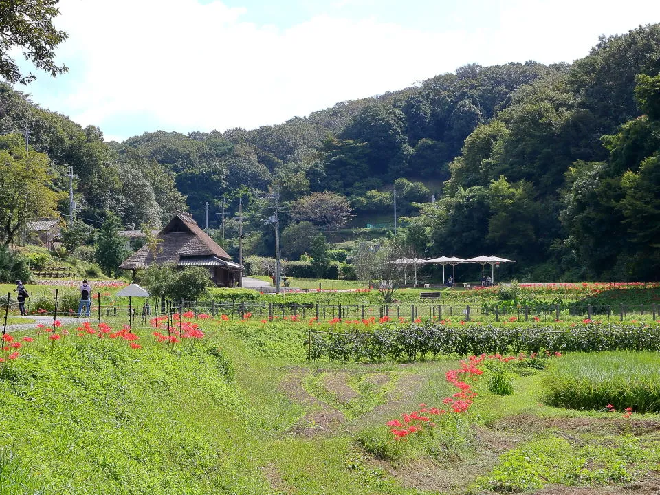 相談ヶ辻耕作楽園