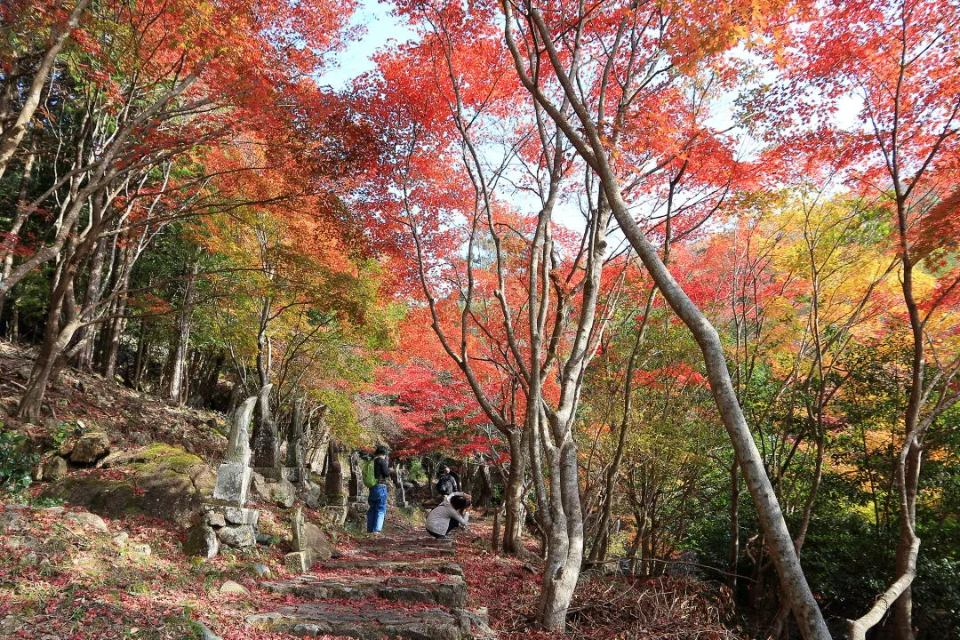 竹谷山渓谷