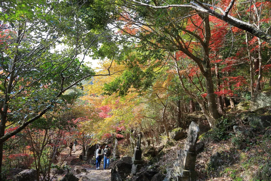 竹谷山渓谷