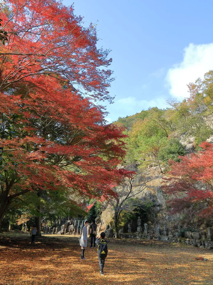 竹谷山自然公園