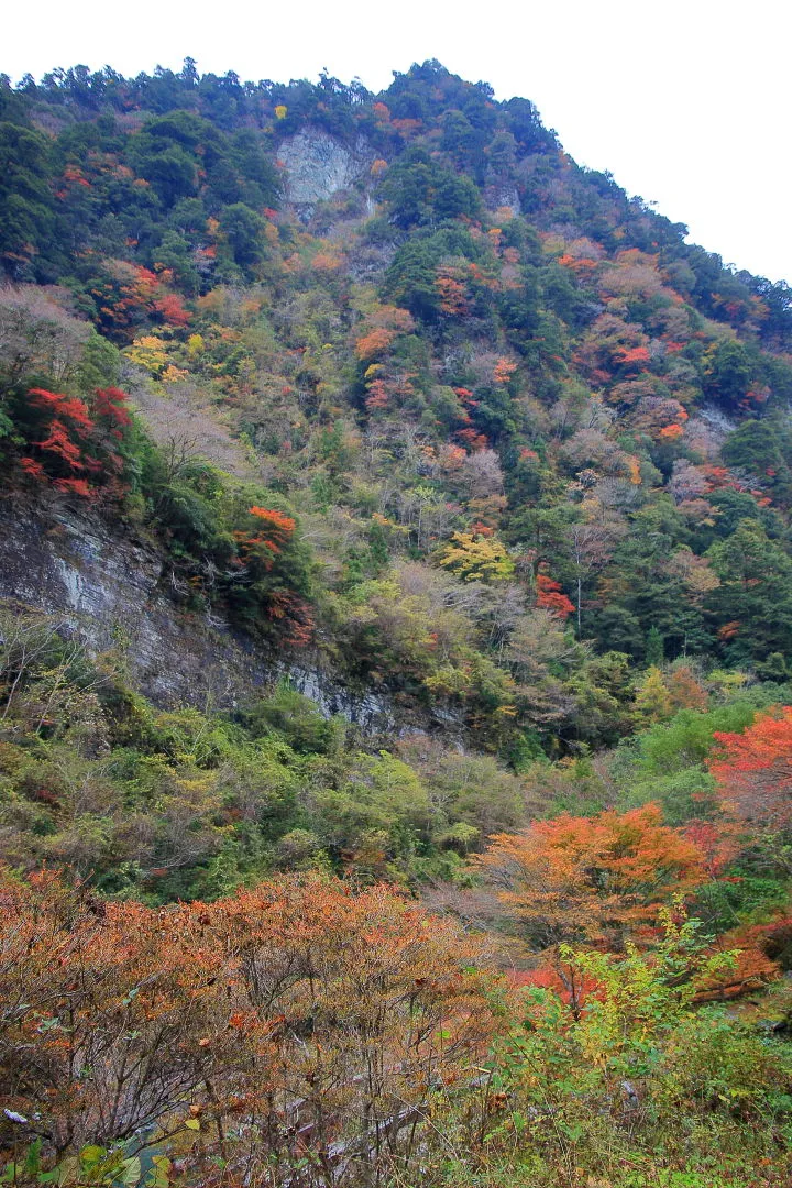 安居渓谷