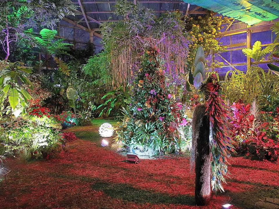 熱帯植物室