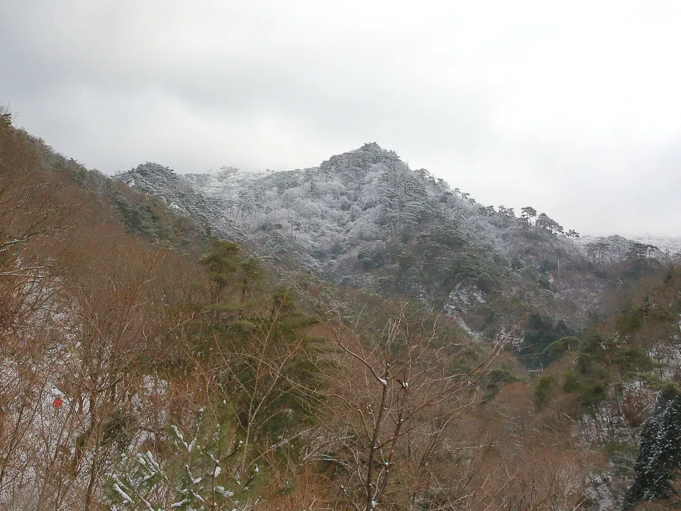 雪の舞った六甲山は霧氷の化粧