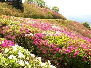 冨士山公園（とみすやまこうえん）
