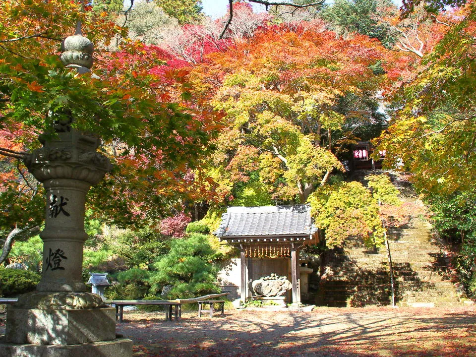 金蔵寺　本堂前の紅葉