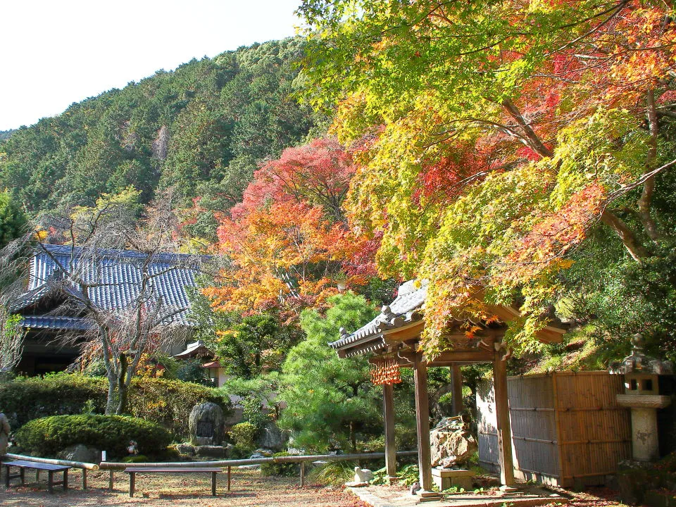 金蔵寺　方丈前庭と手水舎