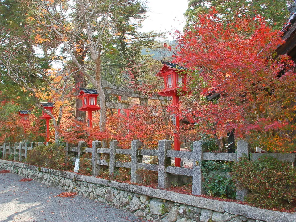 鍬山神社　参道の紅葉