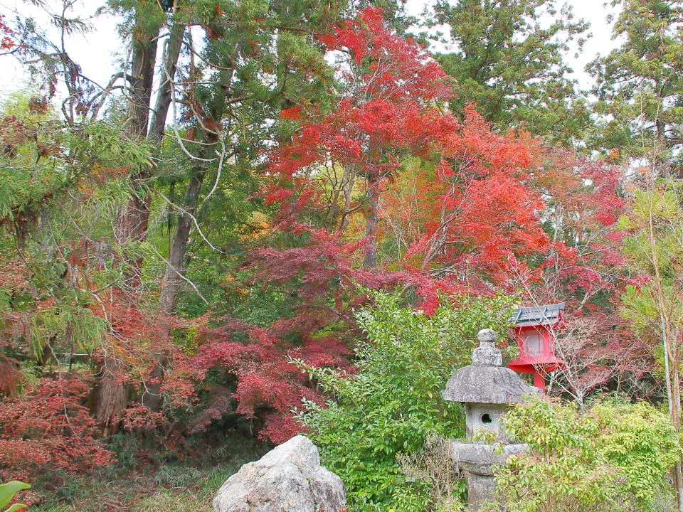 鍬山神社　池周りの紅葉
