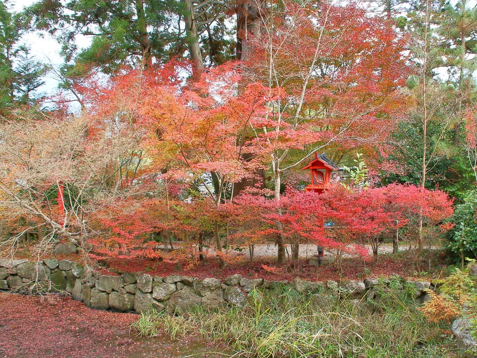 鍬山神社　池周りの紅葉
