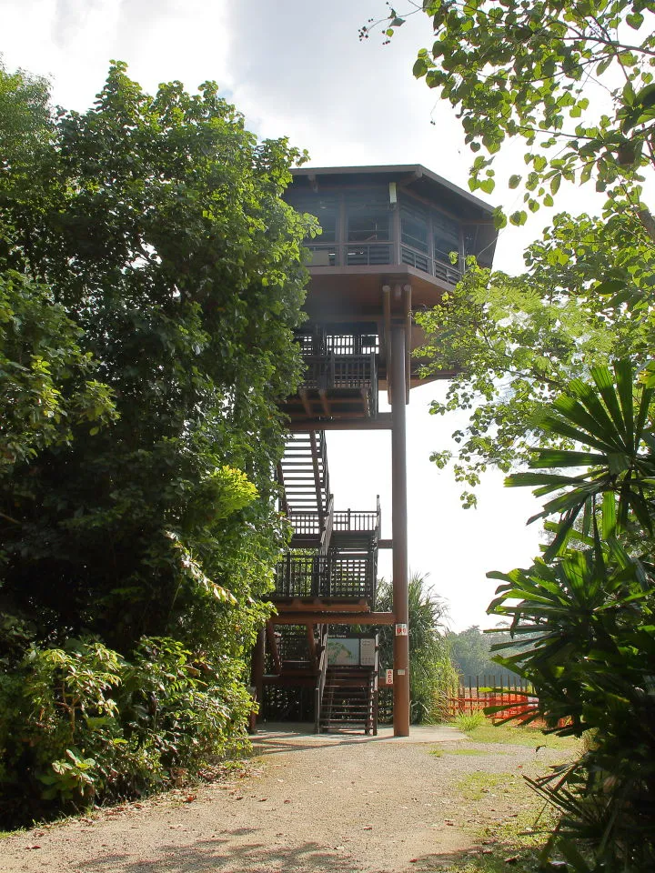 探鳥トレイルの展望塔