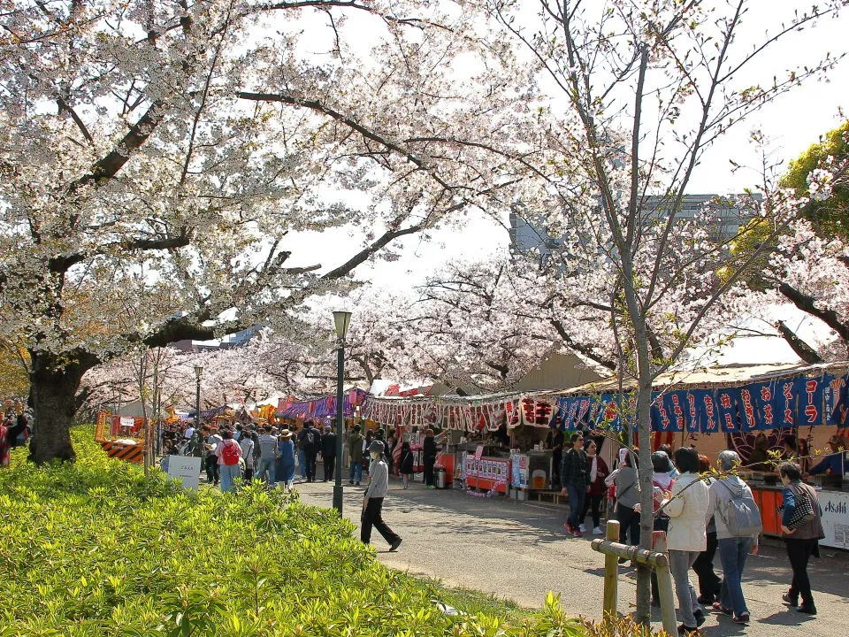大川西岸 桜之宮公園の桜並木と出店