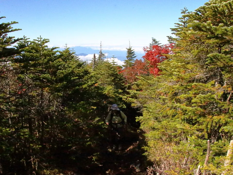 登山道