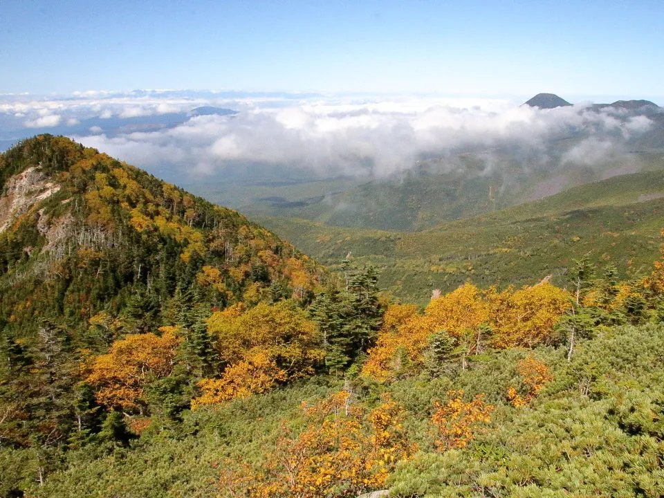 西天狗岳山頂への岩場道から