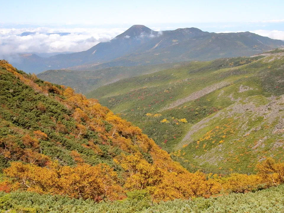 鞍部から蓼科山