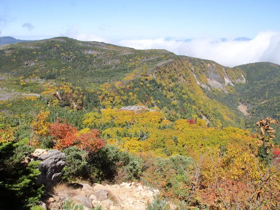 中山峠への尾根道