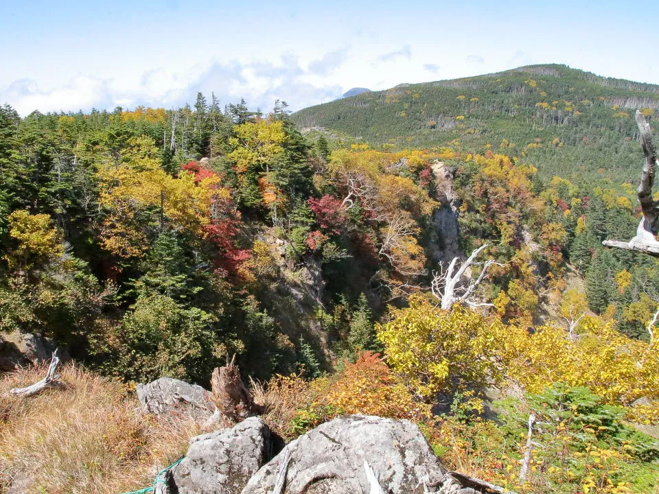 中山峠への尾根道から