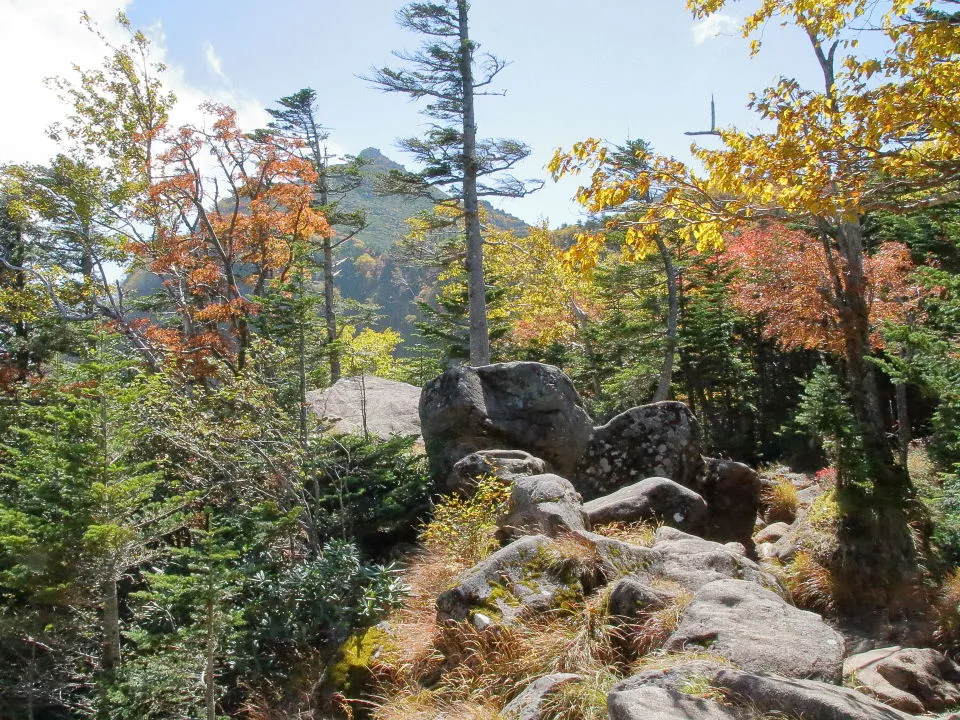 中山峠前から東天狗岳