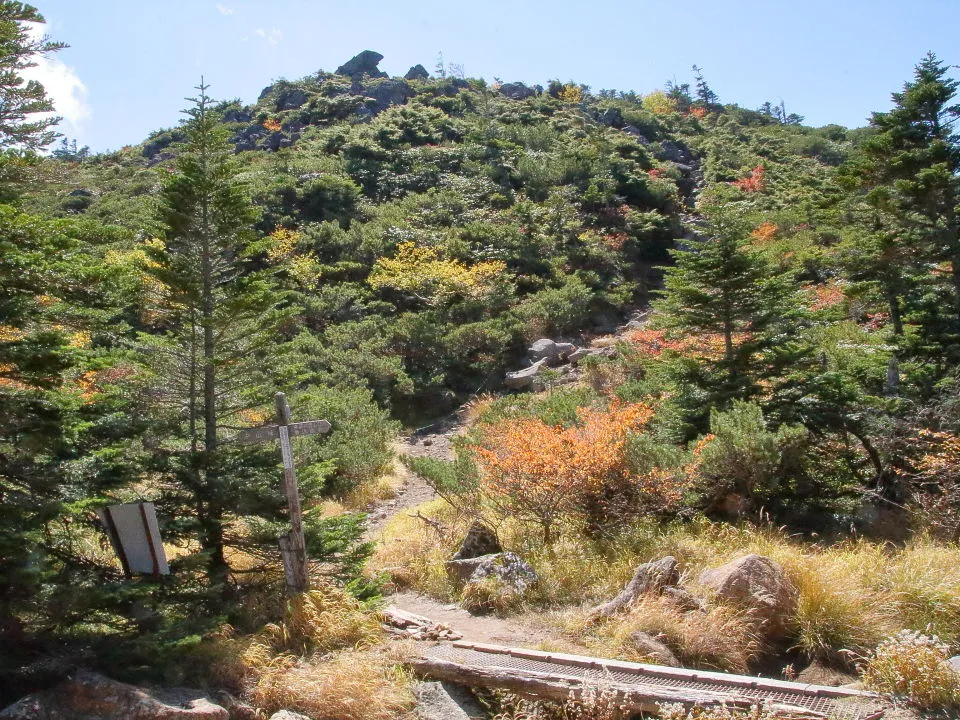 スリバチ池・東天狗岳への登山道