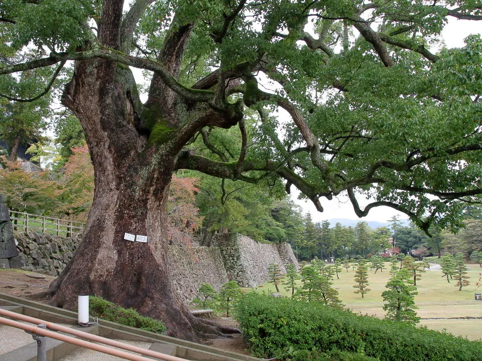 松江城　二ノ丸下の段